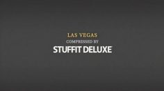 poster-16467-stuffit-deluxe-stuffit-com-vegas-236x132