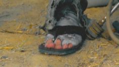 poster-16477-fim-pimp-my-portfolio-236x132