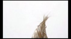 poster-16495-l-oreal-l-oreal-professionnel-happy-hair-236x132