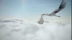 poster-16527-monster-stork-236x132