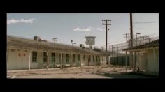 poster-16532-protection-animaux-anti-cruaute-animaux-beat-down-236x132