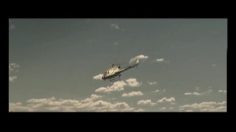 poster-16535-protection-animaux-anti-cruaute-animaux-bathtub-236x132