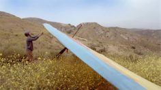 poster-16537-washington-s-lottery-birds-236x132