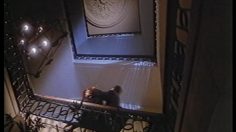 poster-1654-venilia-papier-peint-l-intellectuel-236x132