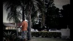 poster-16540-wwf-protection-environnement-garden-236x132