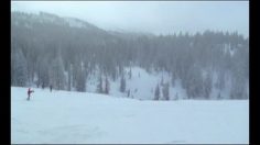 poster-16555-yellow-pages-pages-jaunes-pizza-236x132