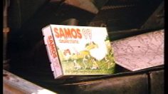 poster-1656-samos-99-le-lionceau-236x132