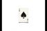 poster-16562-adobe-creative-suite-3-cards-68x45