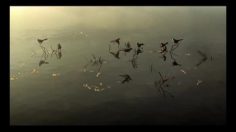 poster-16588-fuse-tv-therapy-236x132