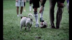 poster-16591-adidas-impossible-park-football-236x132