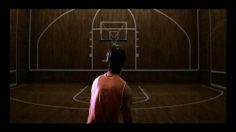 poster-16639-361-sport-cube-basketball-236x132