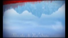 poster-16643-elections-campagne-barack-obama-true-colours-236x132