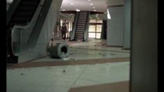 poster-16650-toyota-corolla-ninja-kittens-236x132