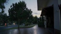 poster-16676-citroen-c4-picasso-birds-swarm-236x132