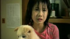 poster-16680-kasugai-seika-puppy-236x132