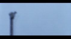 poster-16701-amnesty-international-anti-torture-electrocuting-man-236x132