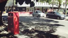 poster-16702-protection-sante-alzheimer-car-236x132