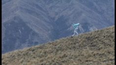 poster-16756-42-below-vodka-rainbow-236x132