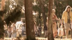 poster-16769-collective-de-la-viande-lambstock-236x132