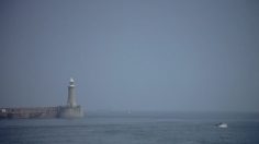 poster-16784-bbc-show-your-love-236x132