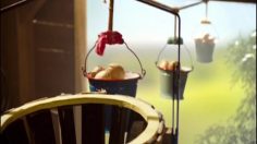 poster-16801-mccain-goodness-inc-236x132