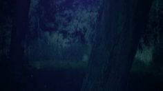 poster-16816-asics-running-expansions-236x132