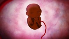 poster-16843-anti-sida-born-hiv-free-236x132