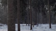 poster-16844-mercedes-benz-bas-plus-sorry-236x132