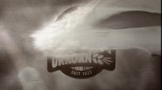 poster-16845-lieken-urkorn-flour-236x132