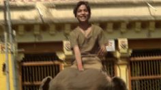 poster-16849-volkswagen-amarok-korama-l-elephant-236x132