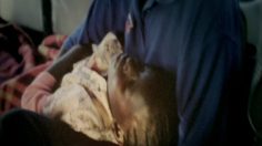 poster-16854-medecins-sans-frontieres-msf-interruption-236x132