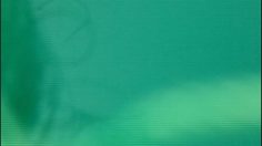 poster-16881-nokia-n8-dragonfly-love-236x132