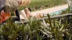 poster-16894-stihl-the-gardener-236x132