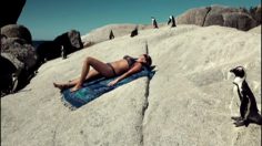 poster-16895-lastminute-com-stories-start-here-236x132