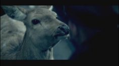 poster-16904-wwf-protection-environnement-we-miss-you-236x132