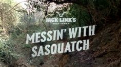 poster-16914-jack-link-s-beef-jerky-flaming-bag-236x132