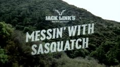 poster-16916-jack-link-s-beef-jerky-joy-buzzer-236x132