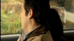 poster-16948-mitsubishi-lancer-birds-and-bees-236x132