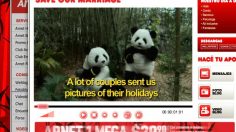 poster-17013-arnet-beach-236x132