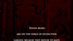 poster-17014-arnet-presentation-236x132