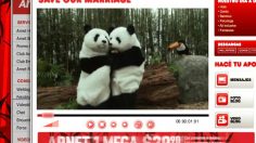 poster-17017-arnet-tickle-236x132