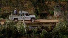 poster-17028-protection-environnement-protection-faune-sauvage-afrique-safari-236x132