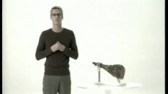 poster-17048-shackleton-agence-publicitaire-iham-236x132