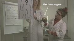 poster-17055-max-the-forest-236x132