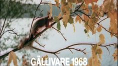 poster-17056-max-gi-burger-the-beginning-236x132