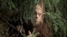 poster-17057-max-steak-out-236x132