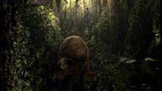 poster-17082-zubr-the-path-236x132