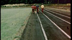 poster-17085-pilsner-urquell-zatopek-236x132