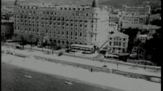 poster-1710-collective-du-sucre-l-expert-236x132