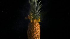 poster-17102-tropicana-fireworks-236x132